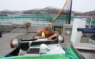 Laksens bevegelser i fjordsystemet gir mange svar