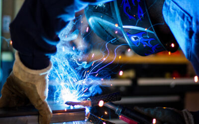– Cermaq stopper investeringer for 4 milliarder og 300 nye arbeidsplasser i Nord-Norge