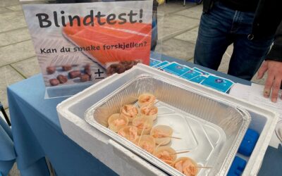 – Hvordan smaker laks som er fôret med insekter?