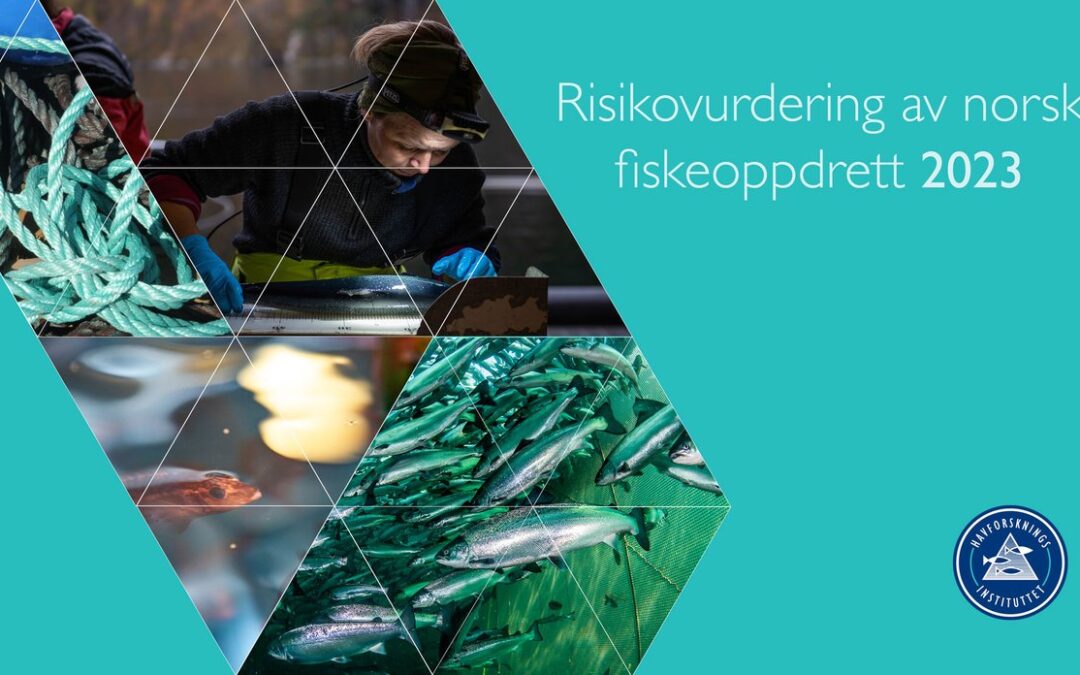 – Risikorapporten for norsk fiskeoppdrett presenteres 7. februar