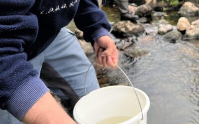 // Forprosjekt: Fjordlus – lusetrykk og vandringsmønster hos vill laksefisk i fjord med ulik grad av oppdrett