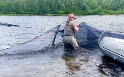 // Smoltsporingsprosjektet – oppsummerende video